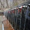 Долина Муктинатх: путь к вечному освобождению.